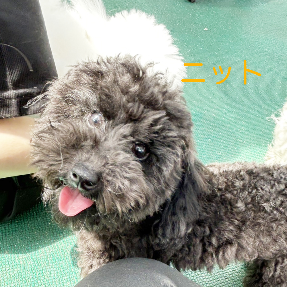 kBeʐ^A